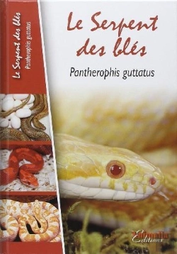 Bertrand.pt - Le Serpent Des Blés - Pantherophis Guttatus