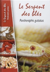 Le Serpent Des Blés - Pantherophis Guttatus