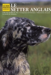 Le Setter Anglais