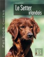 Le Setter Irlandais