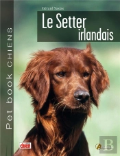 Le Setter Irlandais