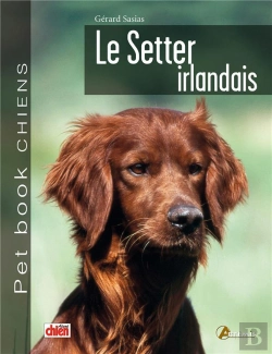 Bertrand.pt - Le Setter Irlandais