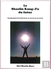 Le Shaolin Kung-Fu Du Futur : Enseignement D'Un Chercheur Au Travers De Son Ecole