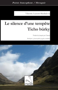Bertrand.pt - Le Silence D'Une Tempete / Ticho Burky