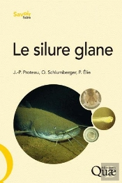 Le Silure Glane