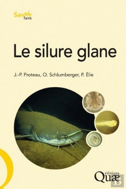 Bertrand.pt - Le Silure Glane