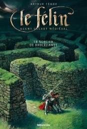Le Sorcier De Brocéliande