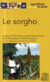 Le Sorgho