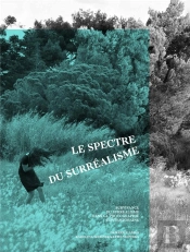 Le Spectre Du Surréalisme