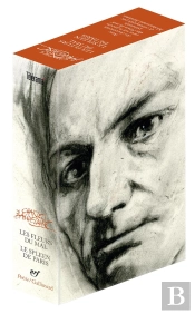 Le Spleen De Paris ; Les Fleurs Du Mal