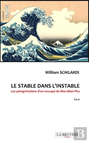 Le Stable Dans L'Instable Les Peregrinations D'Un Rescape De Dien-Bien-Phu