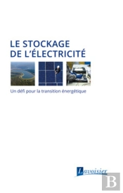 Le Stockage De L'Électricité ; Un Défi Pour La Transition Énergétique