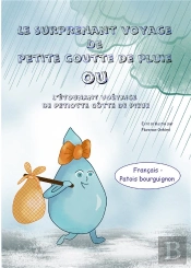 Le Surprenant Voyage De Petite Goutte De Pluie