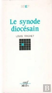 Le Synode Diocesain