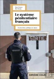 Le Système Pénitentiaire Français : État Des Lieux, Politiques Et Enjeux