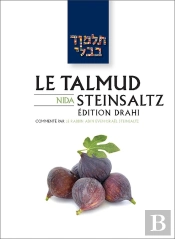 Le Talmud Steinsaltz T42 - Nida : Nida