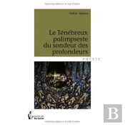 Le Ténébreux Palimpseste Du Sondeur Des Profondeurs