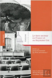 Le Tiers Secteur En France Et Au Royaume-Uni : Déclin Ou Perfectionnement De L'Etat-Providence ?