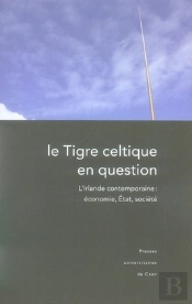 Le Tigre Celtique En Question ; L'Irlande Contemporaine : Économie, État, Société