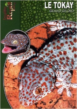 Bertrand.pt - Le Tokay, Gekko, Gecko