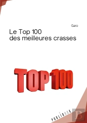 Le Top 100 Des Meilleures Crasses