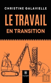 Le Travail En Transition