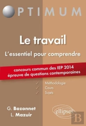 Le Travail ; L'Essentiel Pour Comprendre
