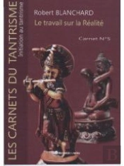 Le Travail Sur La Réalité ; Carnet T.5