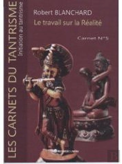 Bertrand.pt - Le Travail Sur La Réalité ; Carnet T.5