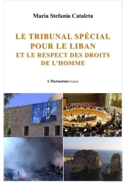Le Tribunal Spécial Pour Le Liban Et Le Respect Des Droits De L'Homme