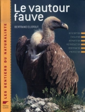 Le Vautour Fauve