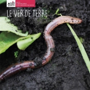 Le Ver De Terre