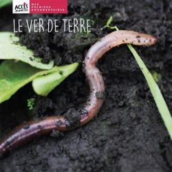 Bertrand.pt - Le Ver De Terre