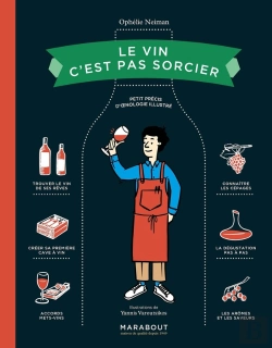 Bertrand.pt - Le Vin C'Est Pas Sorcier : Petit Précis D'Oenologie Illustré