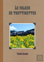 Le Voleur De Trottinettes