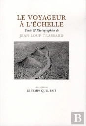 Le Voyageur À L'Echelle