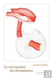 Le Vrai Mystere Des Champignons - Illustrations, Noir Et Blanc