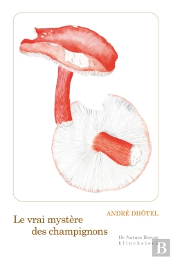 Bertrand.pt - Le Vrai Mystere Des Champignons - Illustrations, Noir Et Blanc