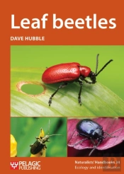 Leaf Beetles