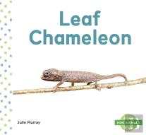 Leaf Chameleon