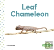 Leaf Chameleon