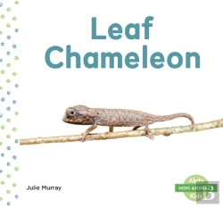 Bertrand.pt - Leaf Chameleon