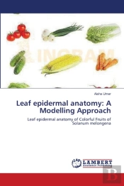 Leaf Epidermal Anatomy: A Modelling Appr