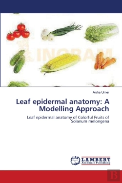 Bertrand.pt - Leaf Epidermal Anatomy: A Modelling Appr
