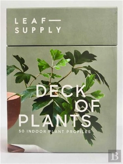 Bertrand.pt - Leaf Supply Deck Of Plants