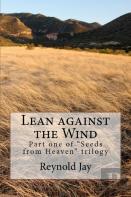 Lean Against The Wind