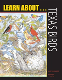 Bertrand.pt - Learn About . . . Texas Birds