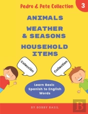 Learn Basic Spanish To English Words