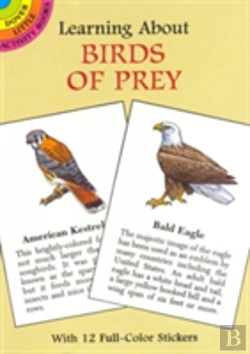 Bertrand.pt - Learning About Birds Of Prey