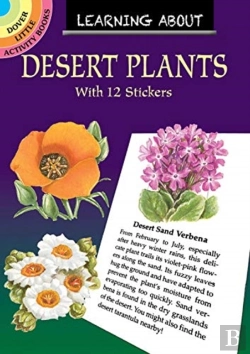 Bertrand.pt - Learning About Desert Plants